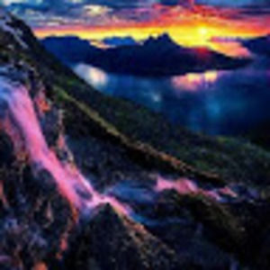 Meet your Posher, Alisha